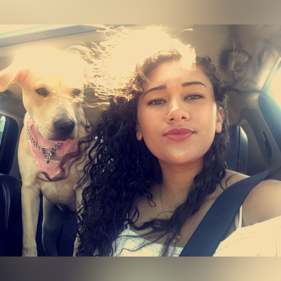 Meet your seller / Sign in ~ Live Show - Picture 5 of 9